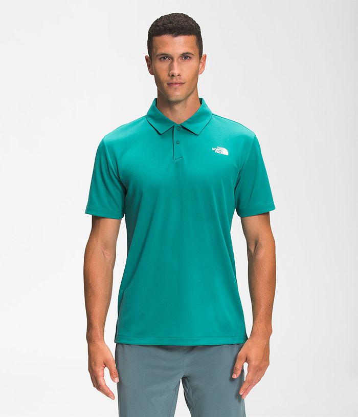 The North Face T-Shirts Heren Wander Polo BSQP64315 - Groen